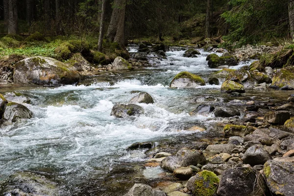 Fiume di montagna con rocce e alberi — Foto Stock