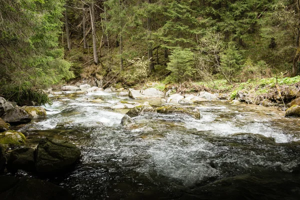 Dağ nehir taşları ve ağaçları ile — Stok fotoğraf