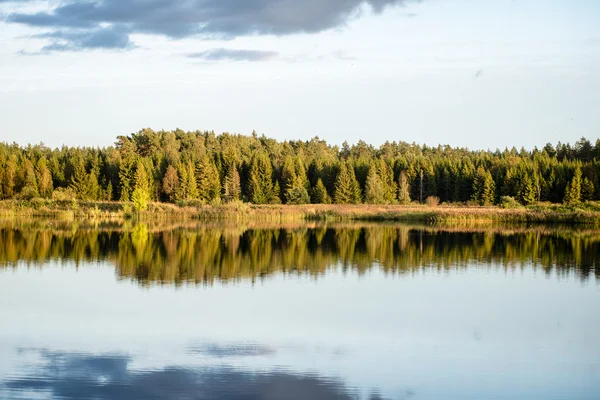 青い空、赤いオランウータンと湖夕日の美しい秋 — ストック写真