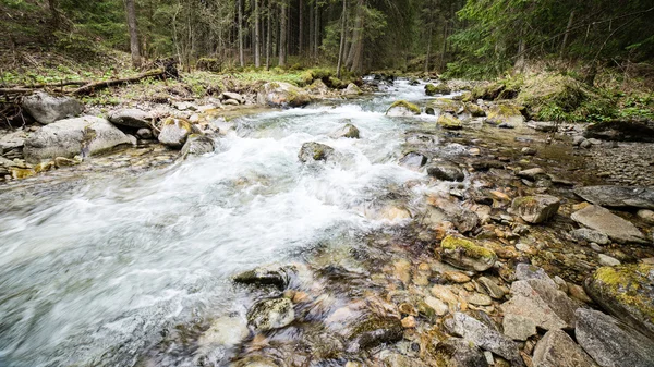 Horská řeka s balvany a stromy — Stock fotografie