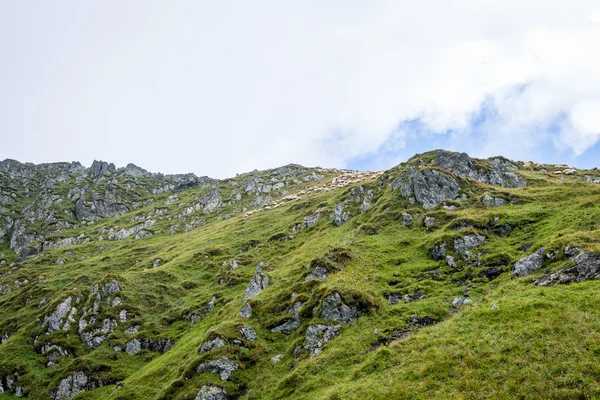 Fagaras βουνά νότια Καρπάθια, Ρουμανία — Φωτογραφία Αρχείου