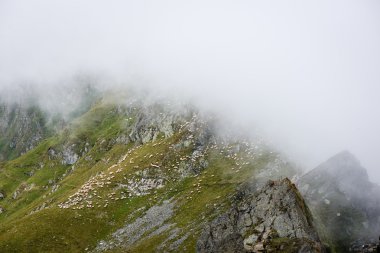 Fagaras Dağları Güney Karpatlar, Romanya
