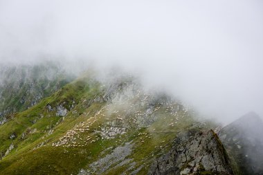 Fagaras Dağları Güney Karpatlar, Romanya