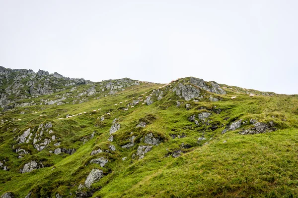 Fagaras Dağları Güney Karpatlar, Romanya