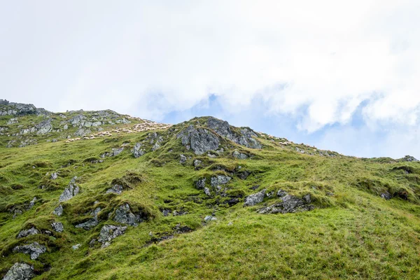 Fagaras Berge in den südlichen Karpaten, Rumänien — Stockfoto