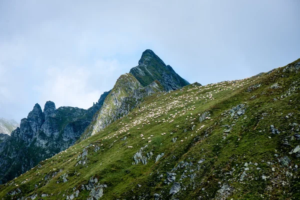 Montagne Fagaras nei Carpazi meridionali, Romania — Foto Stock