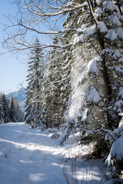 Batı Karpat, tatry dağlara parça hiking turizm