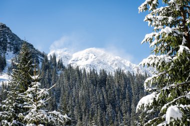 Batı Karpat, kışın Tatry dağlara