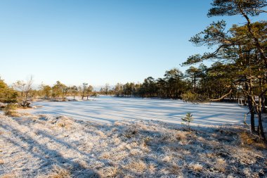 turist hiking trail kışın ormanda
