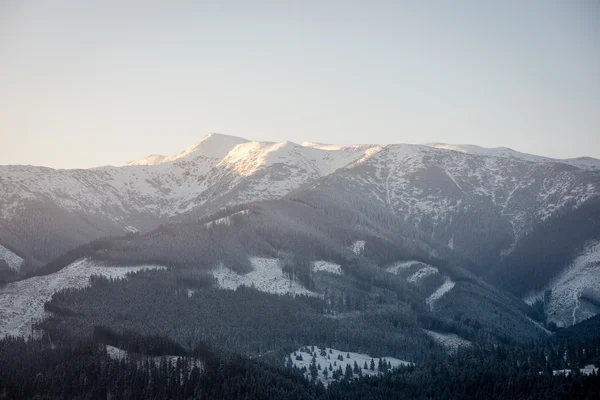 Carpates occidentales, montagnes Tatry en hiver — Photo