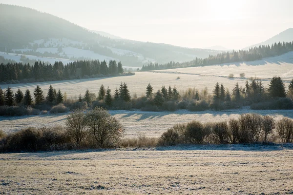 Cárpatos ocidentais, montanhas Tatry no inverno — Fotografia de Stock
