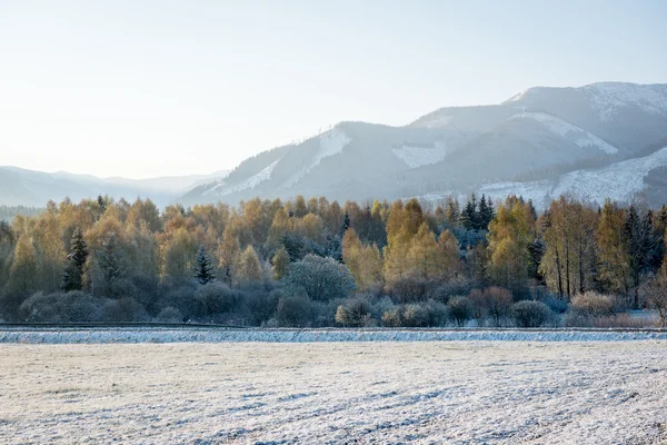 Δυτικά Καρπάθια, Tatry βουνά το χειμώνα — Φωτογραφία Αρχείου