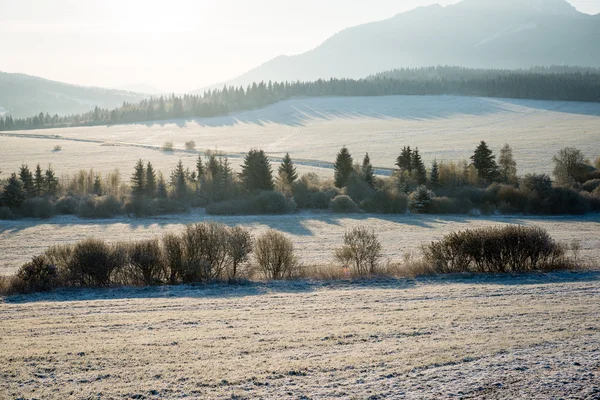 Cárpatos ocidentais, montanhas Tatry no inverno — Fotografia de Stock