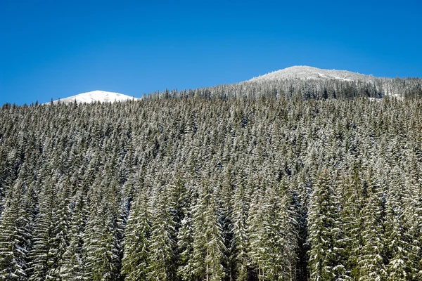 Batı Karpat, kışın Tatry dağlara — Stok fotoğraf