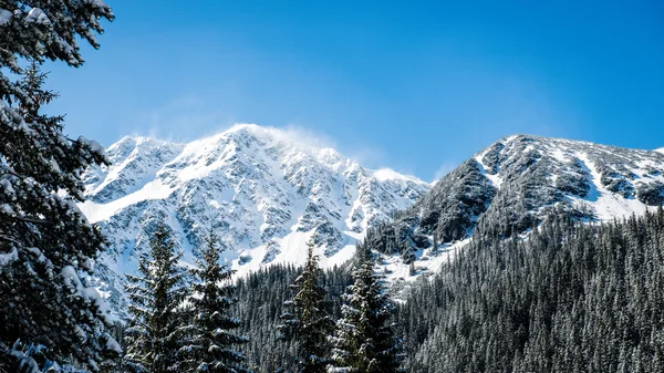 Batı Karpat, kışın Tatry dağlara — Stok fotoğraf