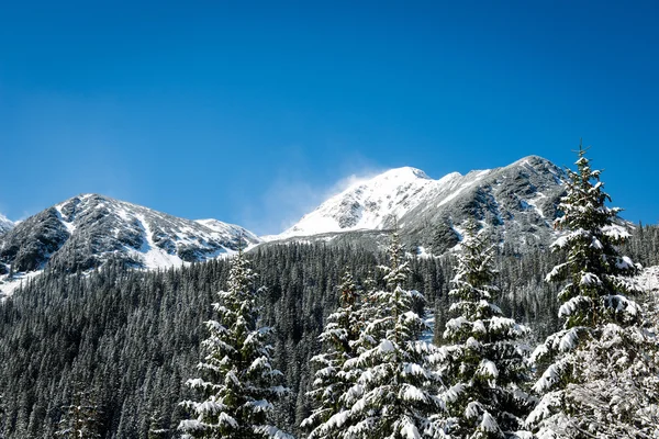 Cárpatos occidentales, montañas de Tatry en invierno — Foto de Stock