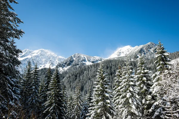 Batı Karpat, kışın Tatry dağlara — Stok fotoğraf