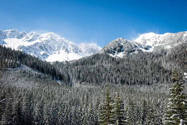 Karpaty Zachodnie, góry Tatry zimą — Zdjęcie stockowe