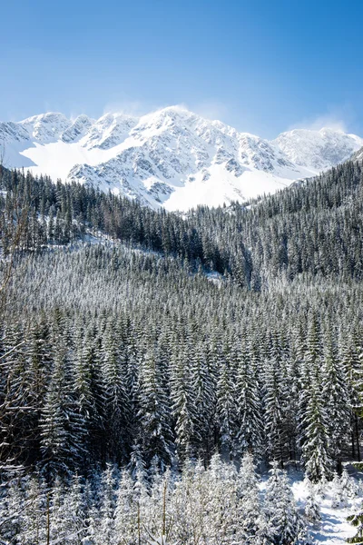 Západní Karpaty, hory Tatry v zimě — Stock fotografie