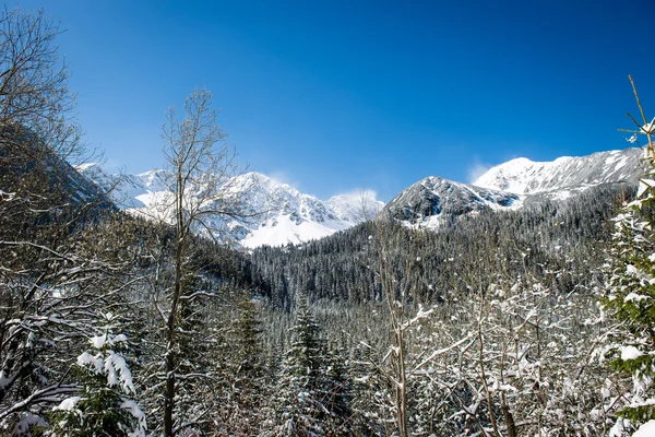 Cárpatos occidentales, montañas de Tatry en invierno —  Fotos de Stock
