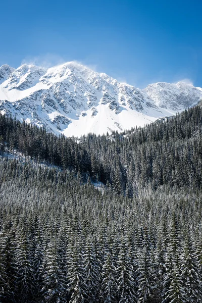 Cárpatos occidentales, montañas de Tatry en invierno —  Fotos de Stock