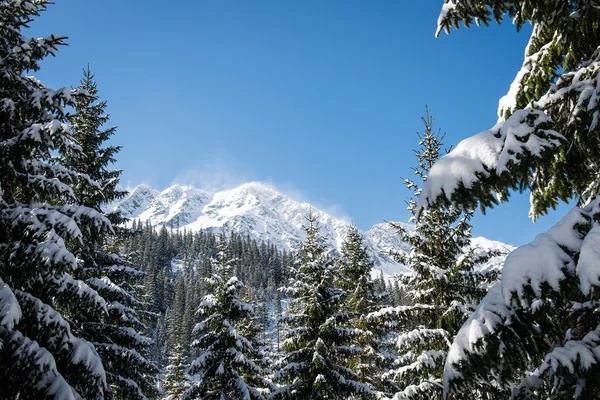 Batı Karpat, kışın Tatry dağlara