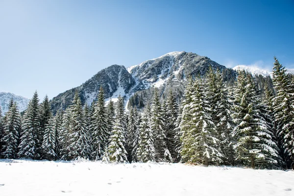 西喀尔巴阡，塔特拉山在冬季 — 图库照片