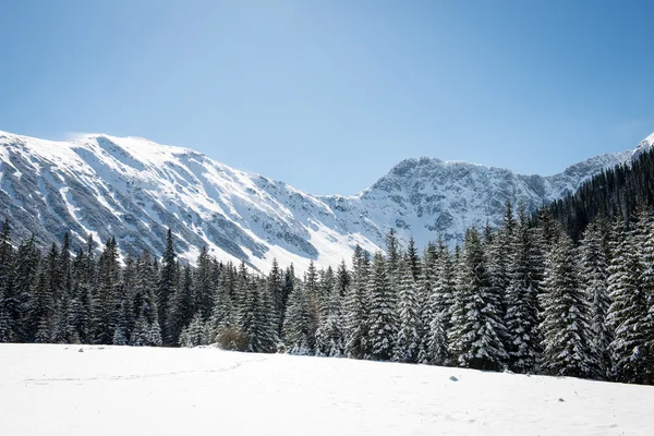 Batı Karpat, kışın Tatry dağlara — Stok fotoğraf