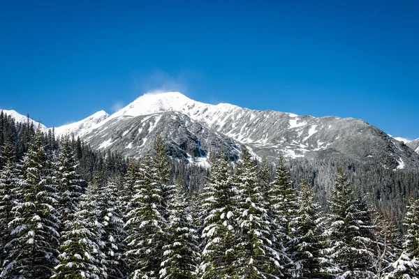 Western carpathian, Tatry mountains in winter — Stock Photo, Image