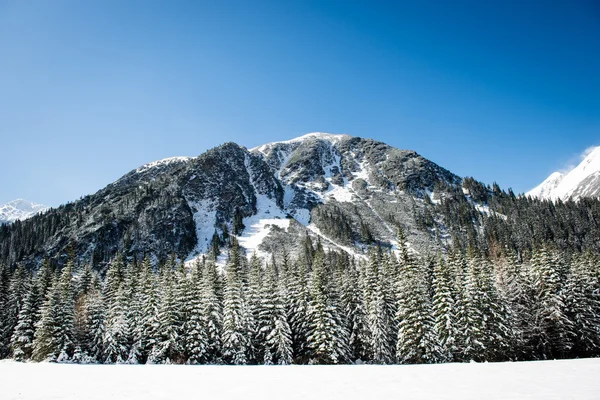 Batı Karpat, kışın Tatry dağlara — Stok fotoğraf