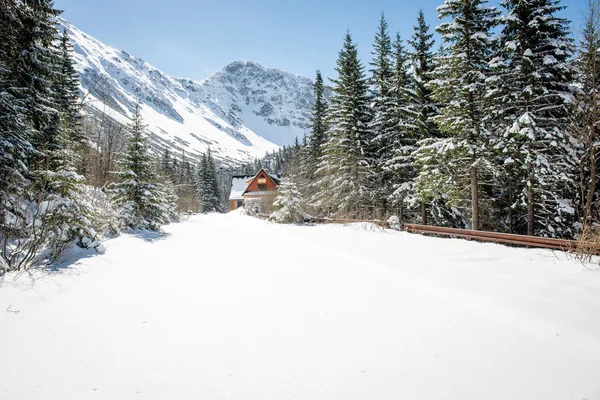 Ruta de senderismo turístico en el oeste de los cárpatos, tatry montañas — Foto de Stock