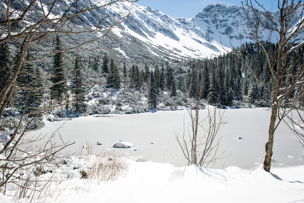 Cárpatos occidentales, montañas de Tatry en invierno — Foto de Stock