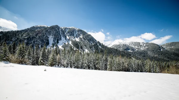 Batı Karpat, kışın Tatry dağlara — Stok fotoğraf