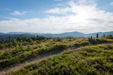 güneşli turist iz sonbahar ormanda