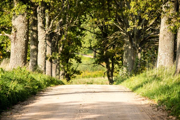 Country Road landscape — Stock Photo, Image