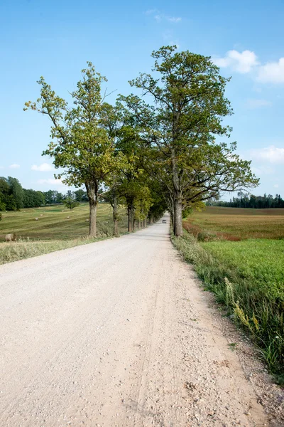 Country Road landscape — Stock Photo, Image