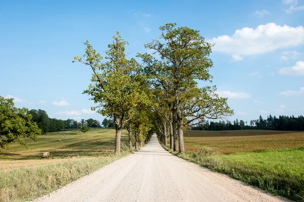 Country Road landscape — Stock Photo, Image