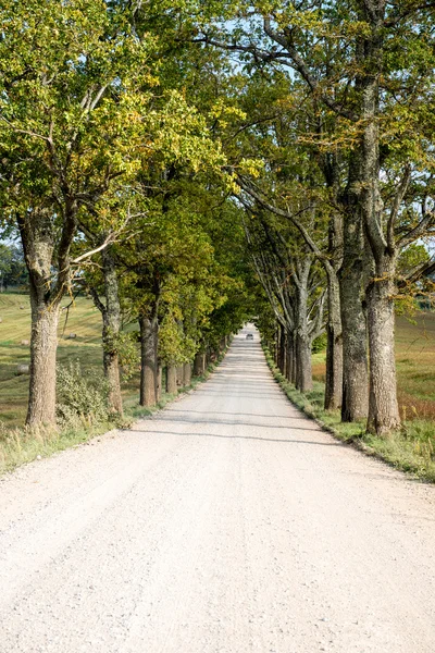 Country Road landscape — Stock Photo, Image