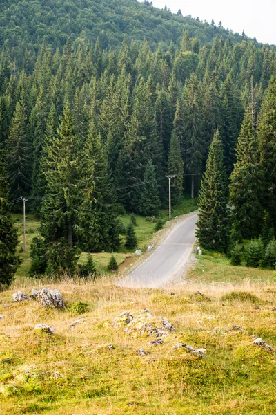 Kır yolu manzarası — Stok fotoğraf