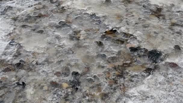 冬天冷雪和冰瀑布 — 图库视频影像