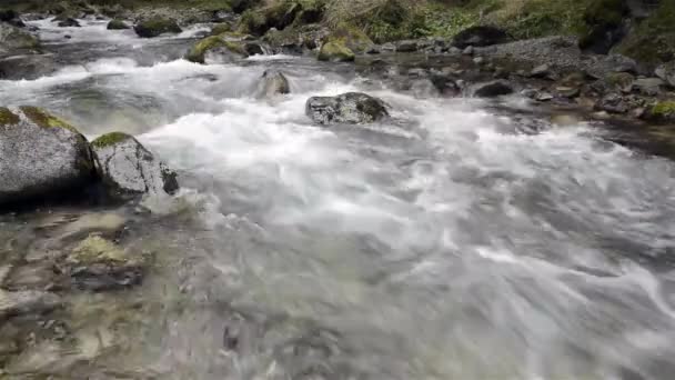 Rivière de montagne avec rochers et mousse — Video