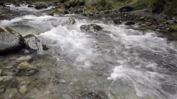 Rivière de montagne avec rochers et mousse — Video