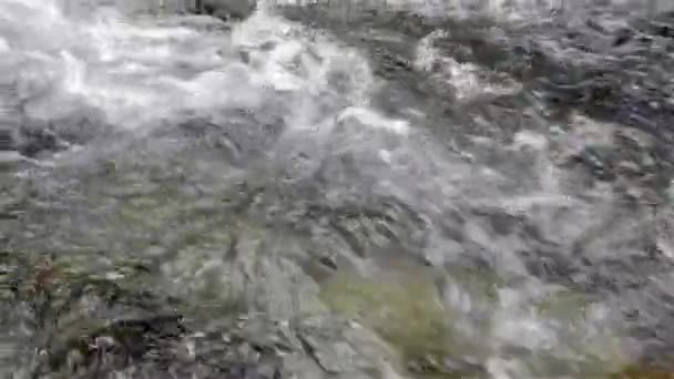 Dağ nehir taşları ve moss ile — Stok video