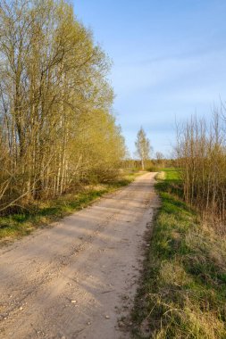Yazın toprak yol kenarları çimlerle kaplı, perspektifli çakıl taşları.