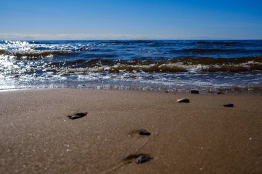 Yazın kumsalda mavi su dalgaları, kayalar ve çakıl taşlarıyla kumlar.
