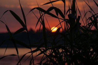 Gölün üzerinde güzel, kırmızı gün batımı ve ön tarafta çimenler.