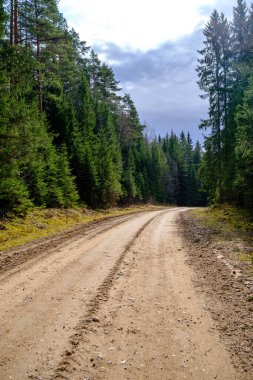 Yazın toprak yol kenarları çimlerle kaplı, perspektifli çakıl taşları.