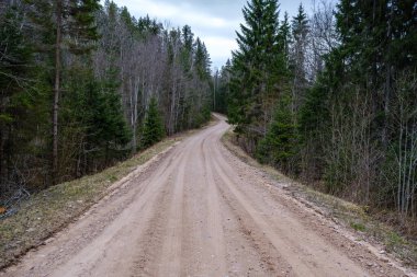 Yazın toprak yol kenarları çimlerle kaplı, perspektifli çakıl taşları.