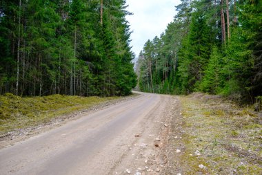 Yazın toprak yol kenarları çimlerle kaplı, perspektifli çakıl taşları.