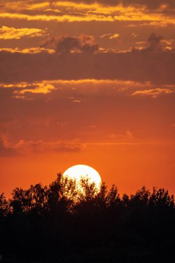 Gölün üzerinde güzel, kırmızı gün batımı ve ön tarafta çimenler.